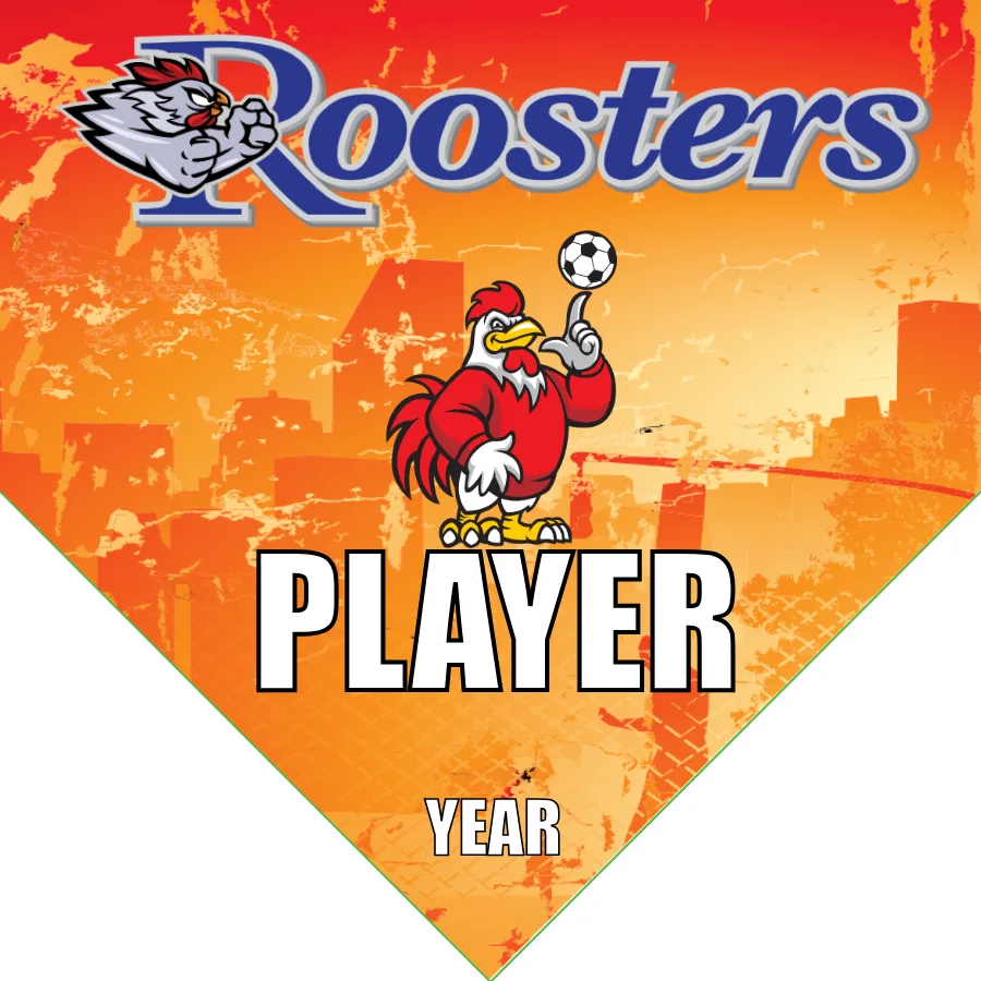 Rooster Soccer Banner-soccer-banners-picture