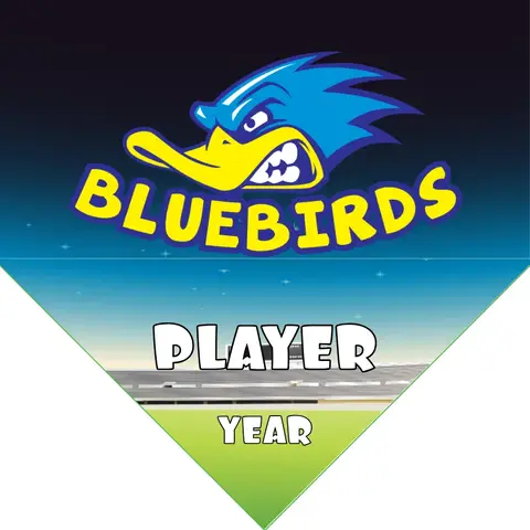 Bluebird Soccer Banner-custom-soccer-banner-designs-picture