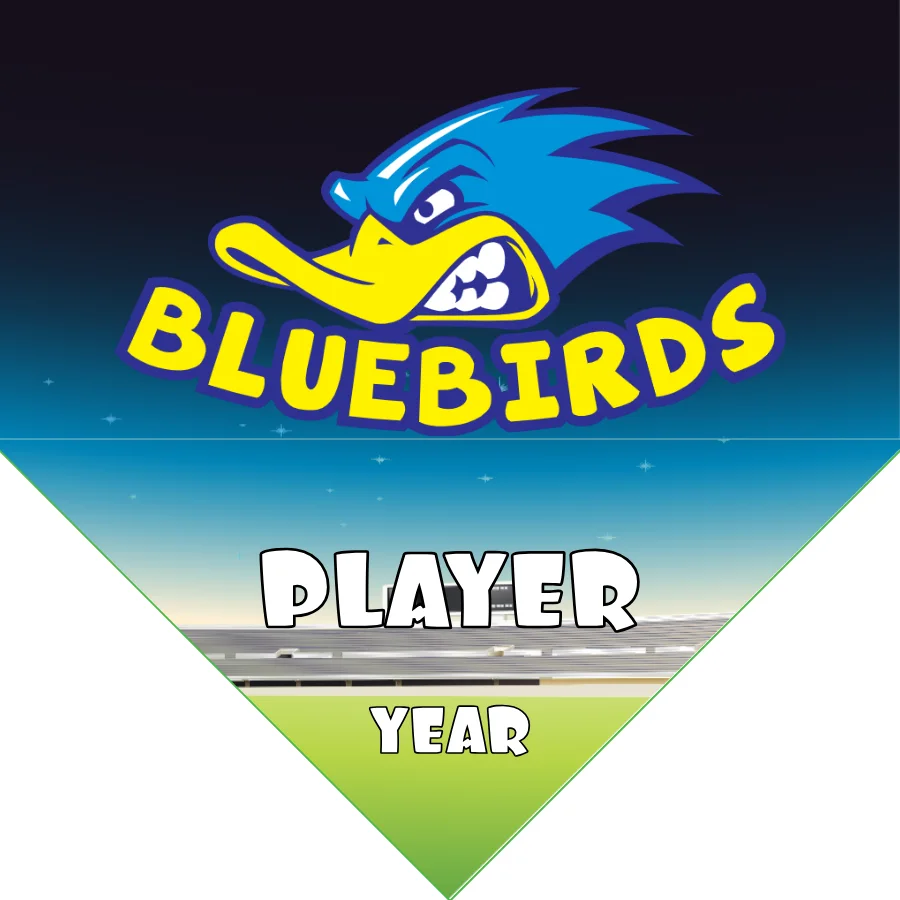 Bluebird Soccer Banner-custom-soccer-banner-designs-picture