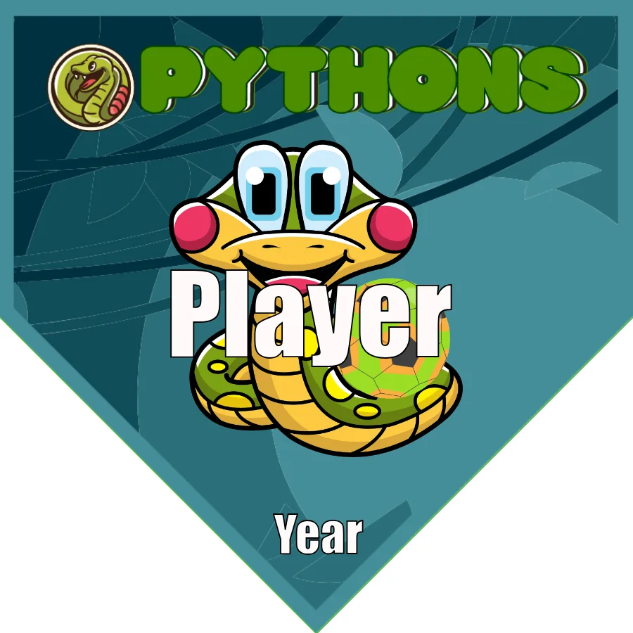 Pythons 2 Panthers Soccer Banner-soccer-team-banner-ideas-picture