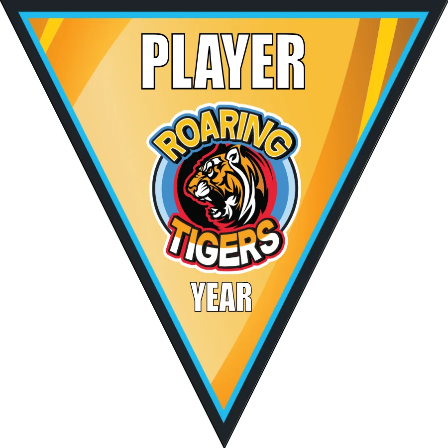 Roaring Tigers Soccer Banner-soccer-banners-picture