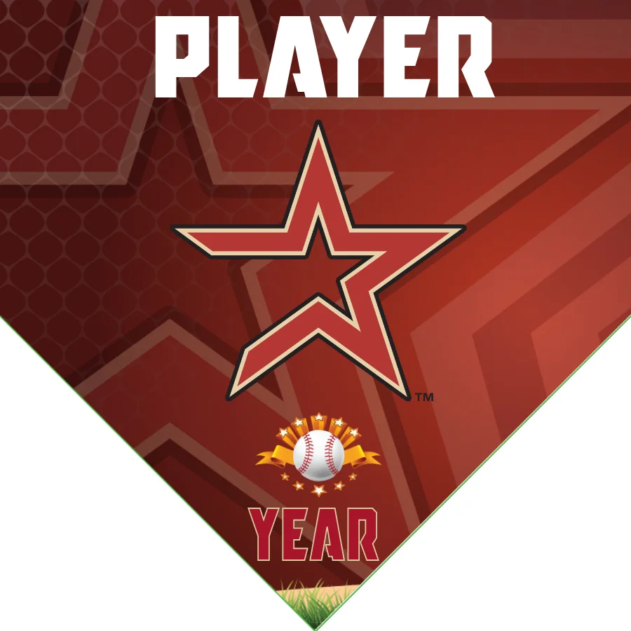Astros4 Baseball Banner-baseball-banner-pics-images