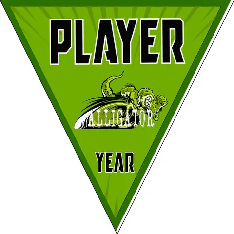 Alligator Soccer Banner-soccer-banner-size-picture