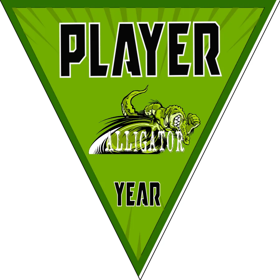 Alligator Soccer Banner-soccer-banner-size-picture