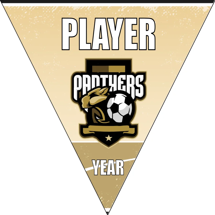 Panthers 3 Soccer Banner-soccer-banner-size-picture