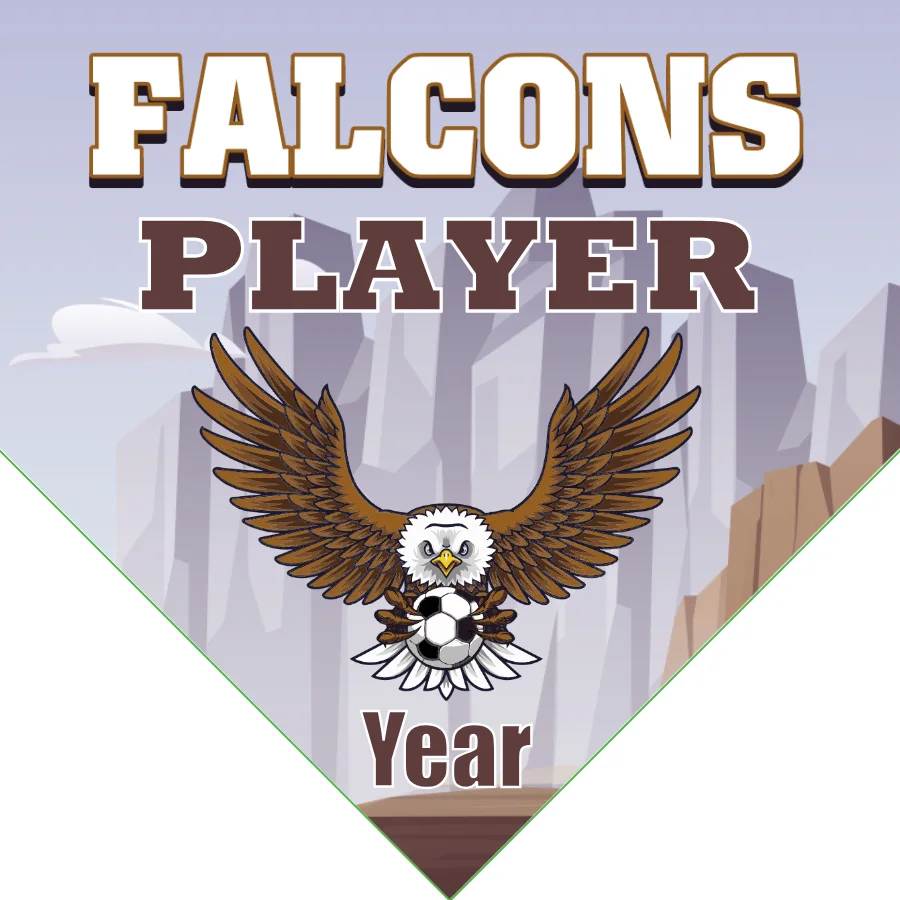Falcons  Soccer Banner-banner-soccer-image