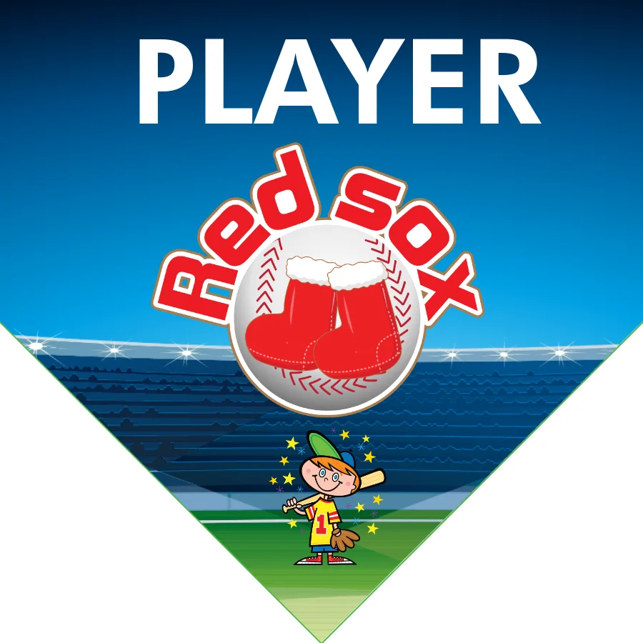 Red Sox 2 Softball Banner-best-softball-banners-images
