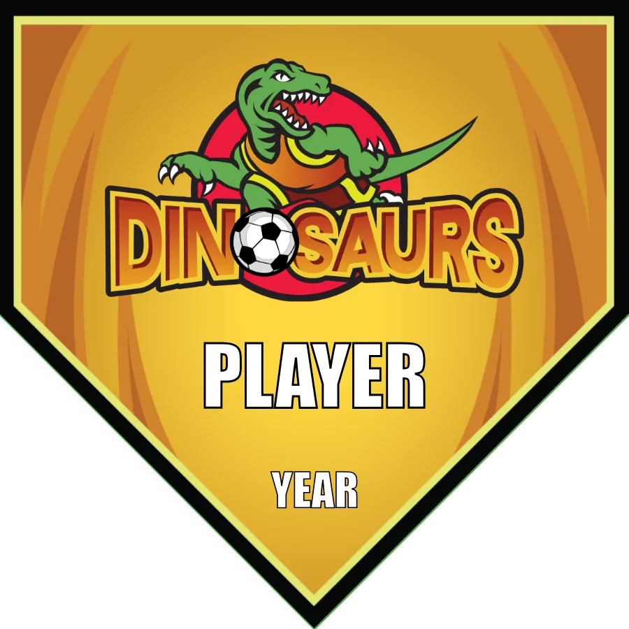 Dinosaurs Soccer Banner-soccer-senior-banners-picture