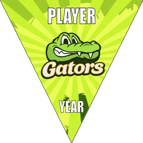 Gator 2 Soccer Banner-soccer-ball-banner-picture
