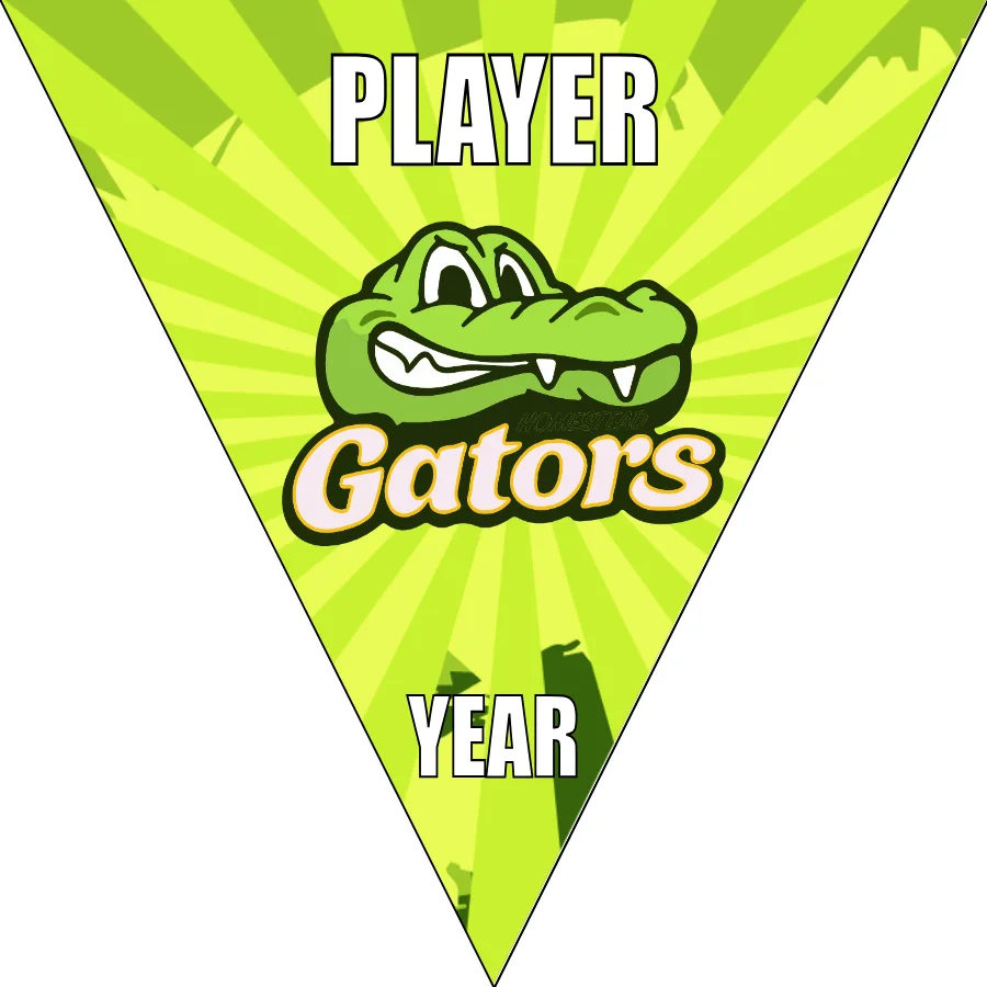 Gator 2 Soccer Banner-soccer-ball-banner-picture