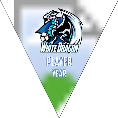 White Dragon Soccer Banner,-homemade-soccer-banner-ideas-picture