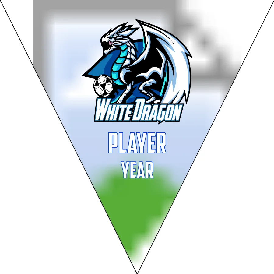 White Dragon Soccer Banner,-homemade-soccer-banner-ideas-picture