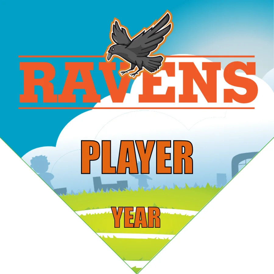 Ravens 2 Soccer Banner-soccer-team-banner-picture