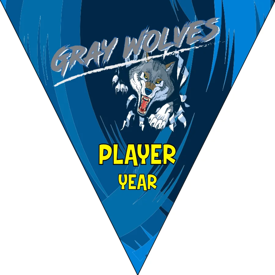 Wolves Gray Soccer Banner,-soccer-party-banner-picture