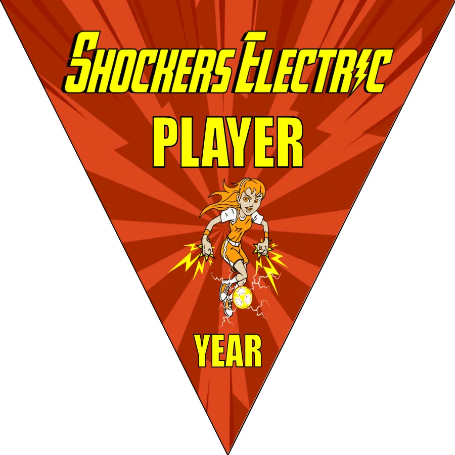Shockers Electric Soccer -soccer-banner-stand-picture
