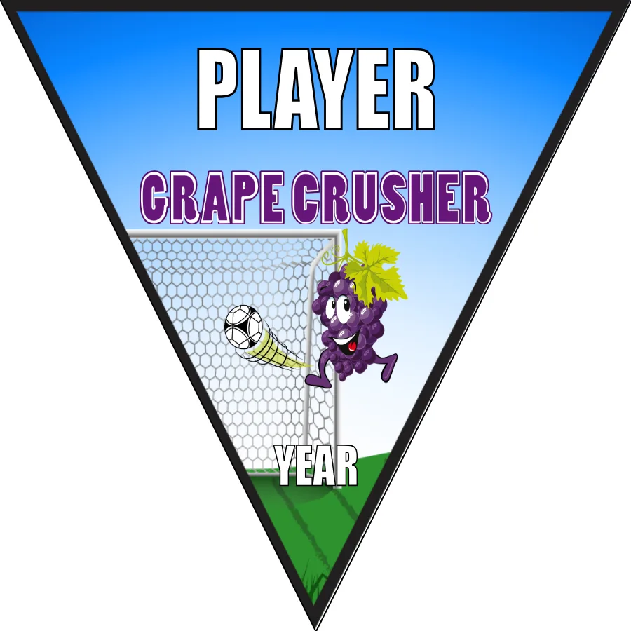 Crusher Grape Soccer Banner-soccer-banners-orange-county-ca-picture