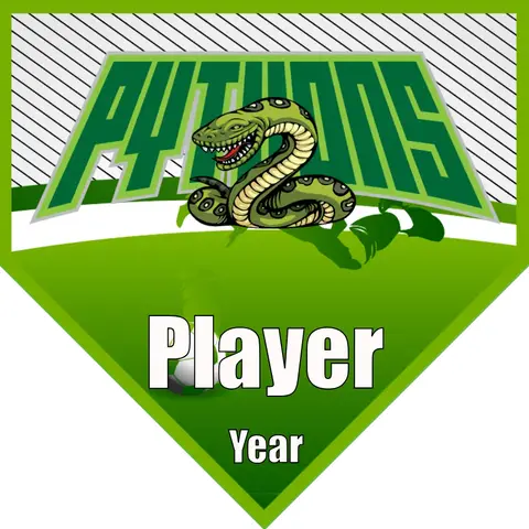 Pythyons Soccer Banner-soccer-team-banner-ideas-picture