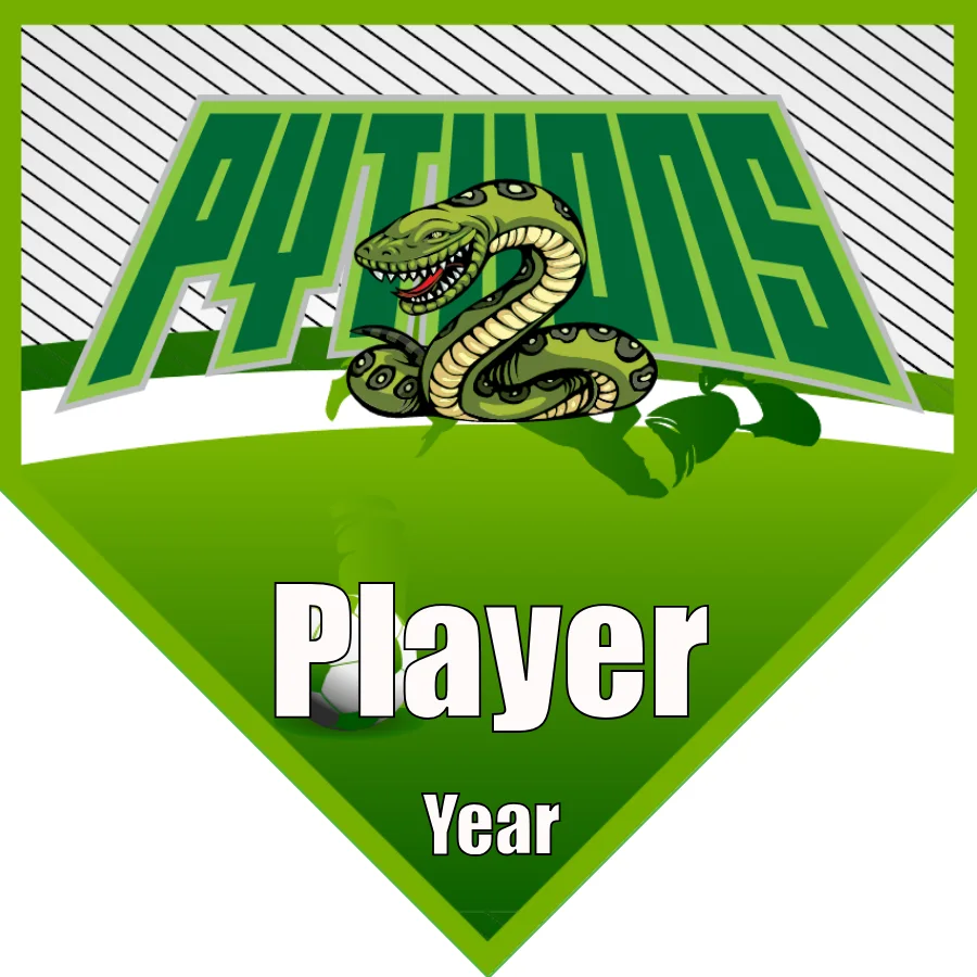 Pythyons Soccer Banner-soccer-team-banner-ideas-picture