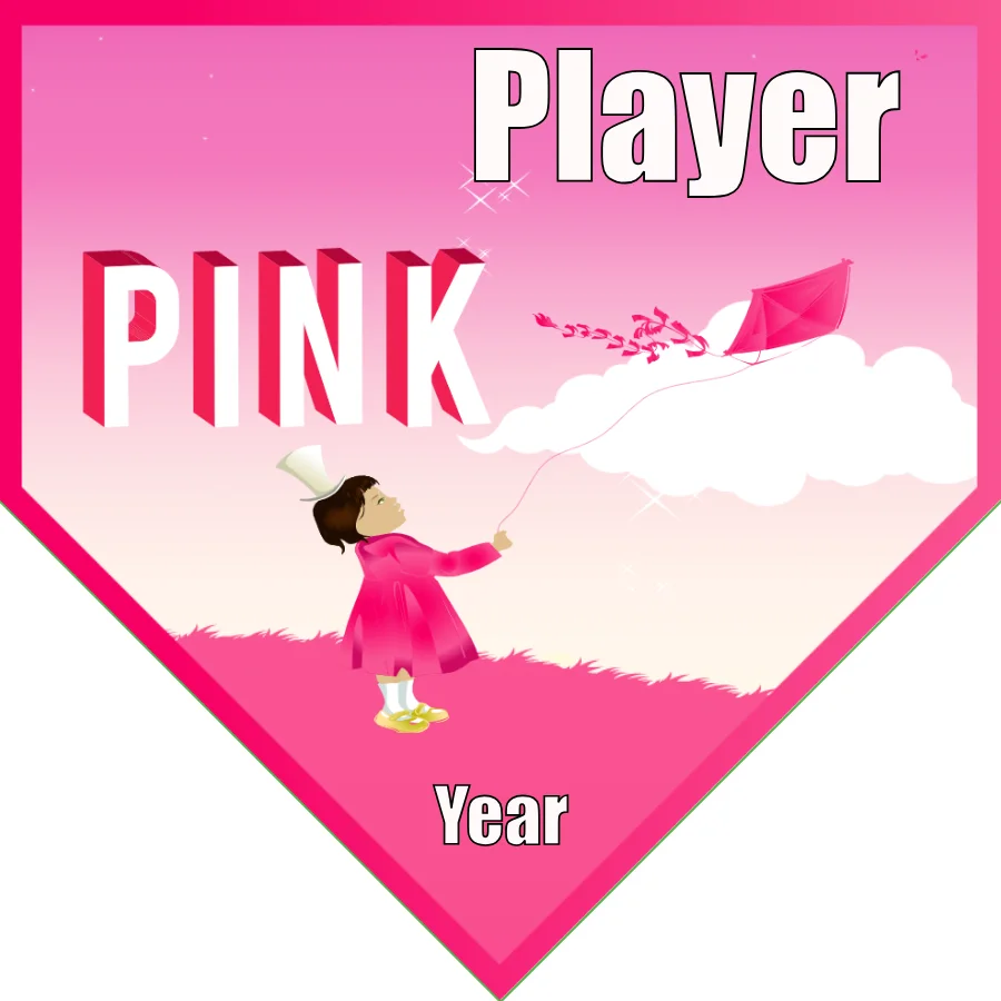 Pink 3 Soccer Banner-soccer-banner-size-picture