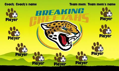 BreakingCheetahs Soccer Banner-soccer-web-banners-picture
