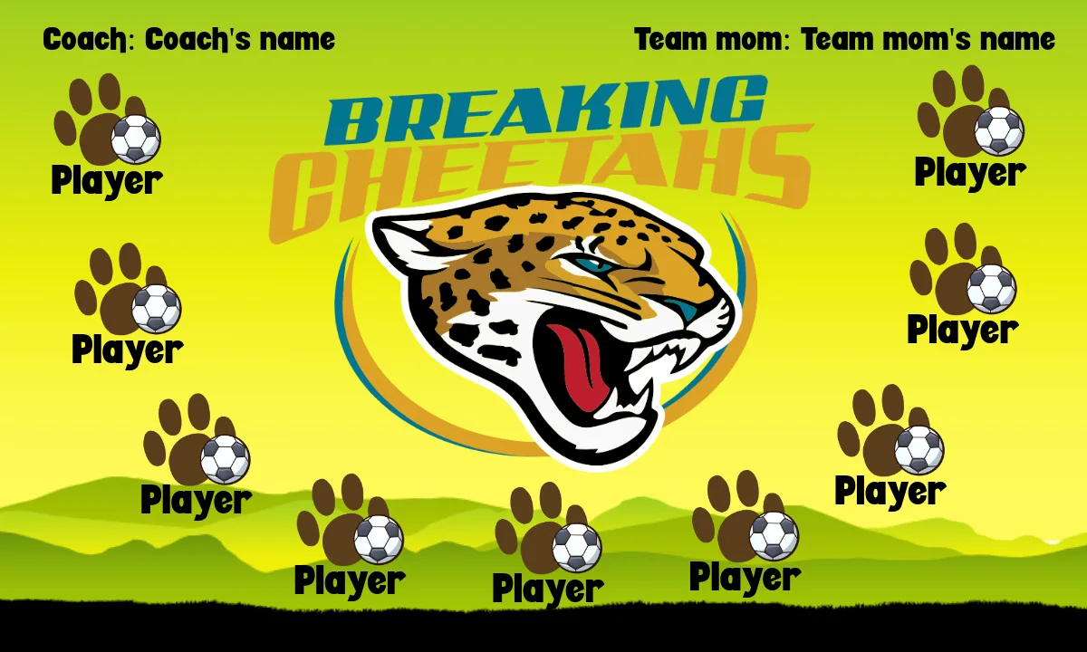 BreakingCheetahs Soccer Banner-soccer-web-banners-picture