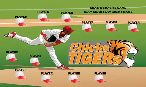 ChickTiger Softball Banner-airbrushed-softball-banners-picture
