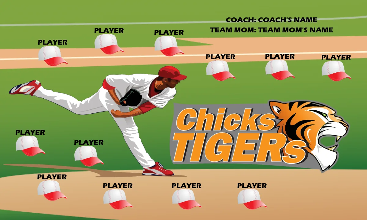 ChickTiger Softball Banner-airbrushed-softball-banners-picture