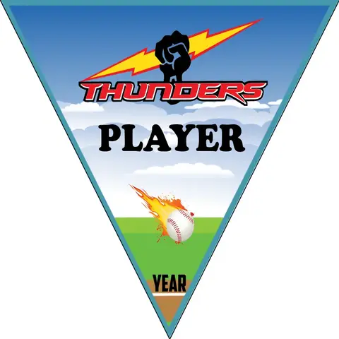 Thunders 2 Softball Banner-softball-banners-orange-county-picture