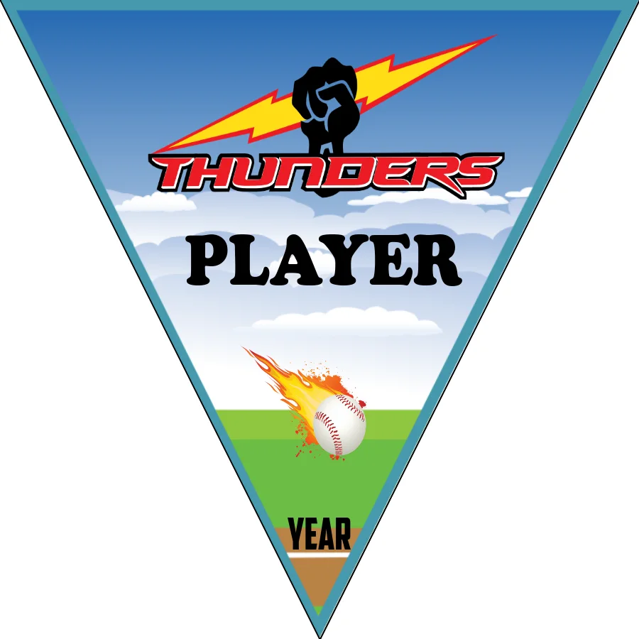 Thunders 2 Softball Banner-softball-banners-orange-county-picture