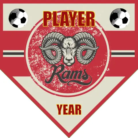 Rams 1 Soccer Banner-soccer-banner-flags-picture