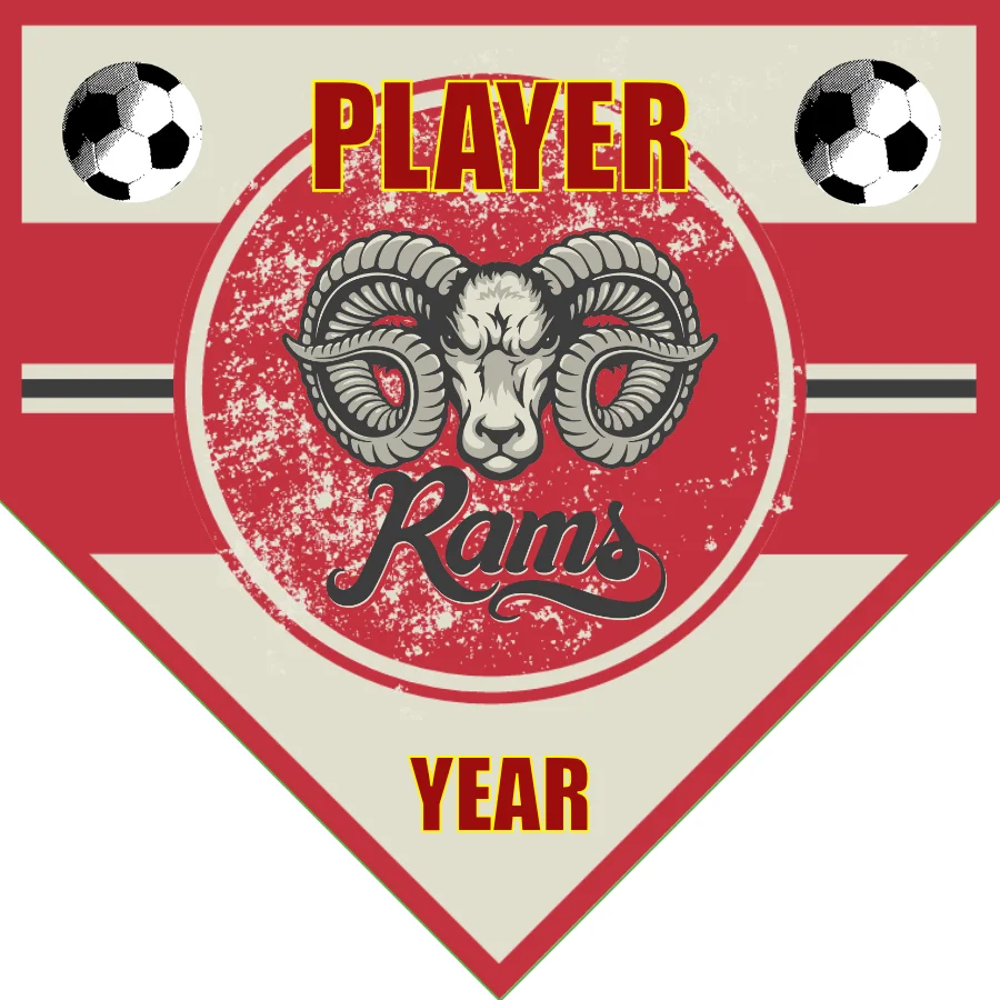 Rams 1 Soccer Banner-soccer-banner-flags-picture