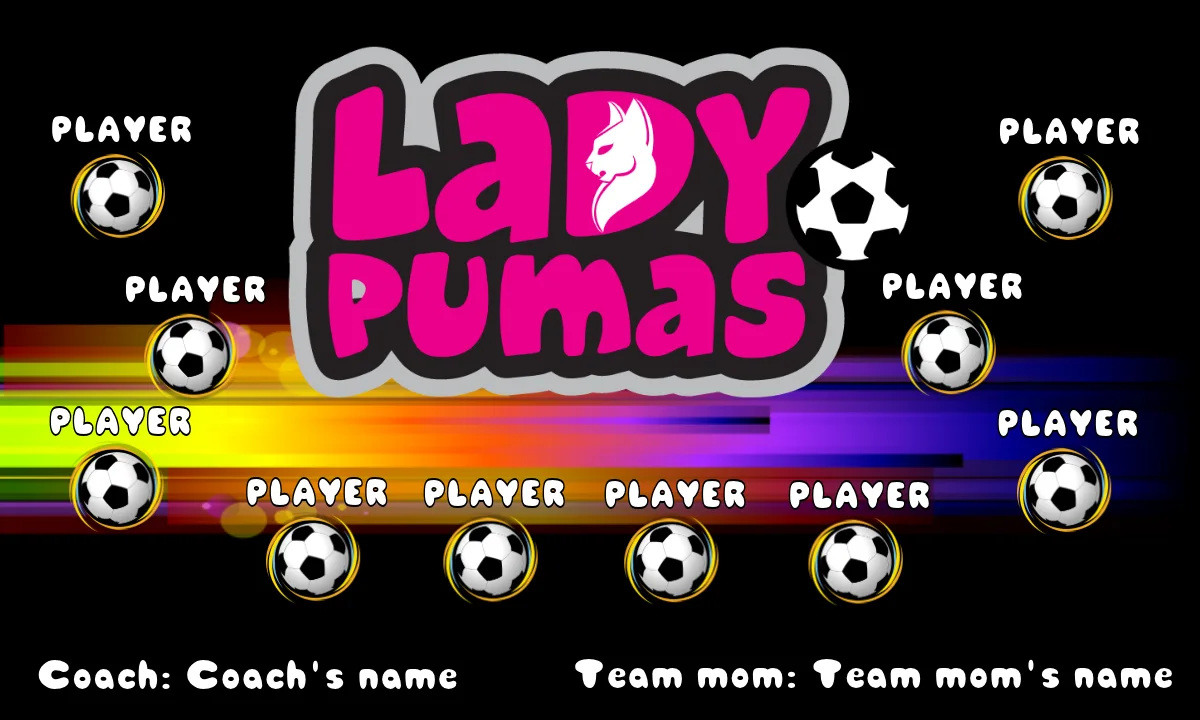 Ladypumas Soccer Banner-soccer-banners-sacramento-picture