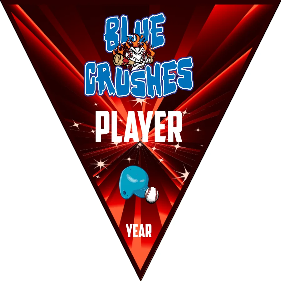Blue Crushes 1 Softball Banner-homemade-softball-banner-ideas-picture