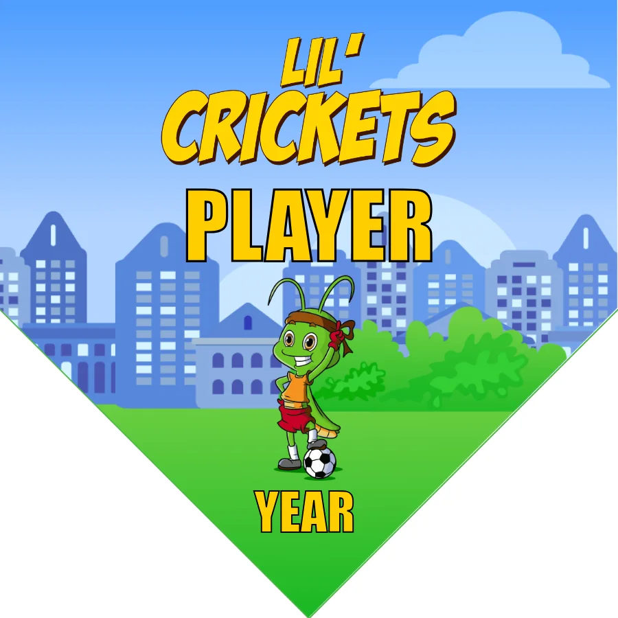 Lil'Crickets Soccer Banner-soccer-team-banner-picture
