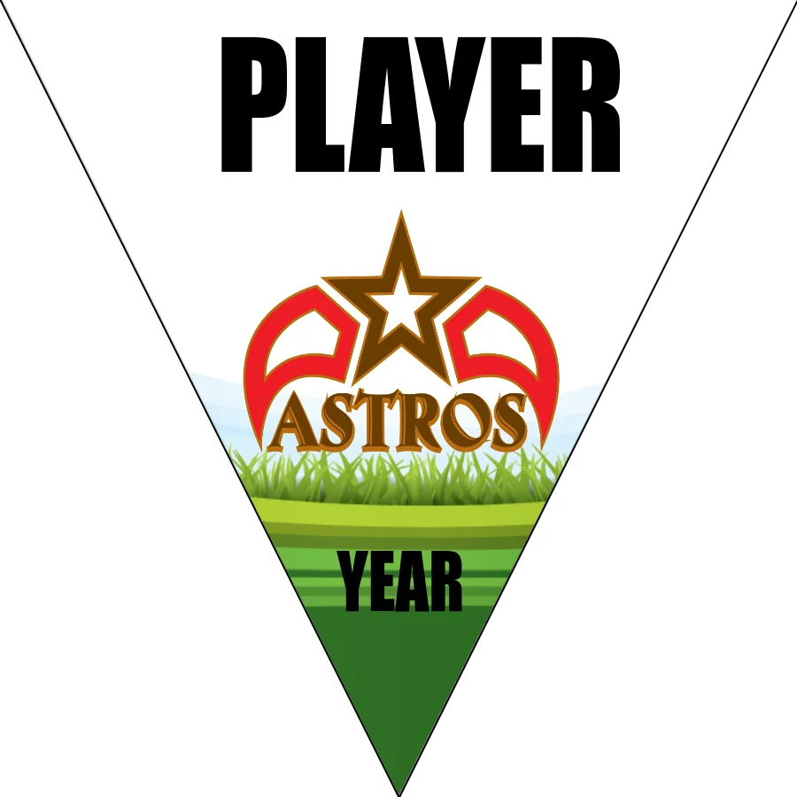 Astros Soccer Banner-soccer-banners-picture