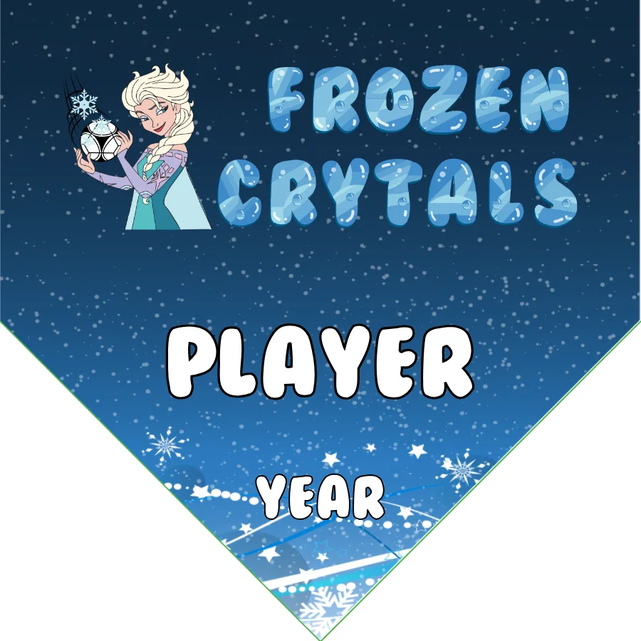 Frozen Crystals Soccer Banner-soccer-banners-for-ayso-picture