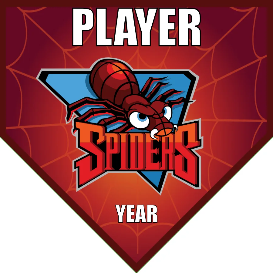 Spiders-red-bg-home-softball-banner-ideas-picture
