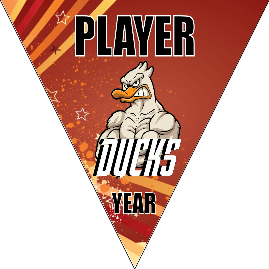 Duck 03 Soccer Banner-soccer-team-banner-ideas-picture
