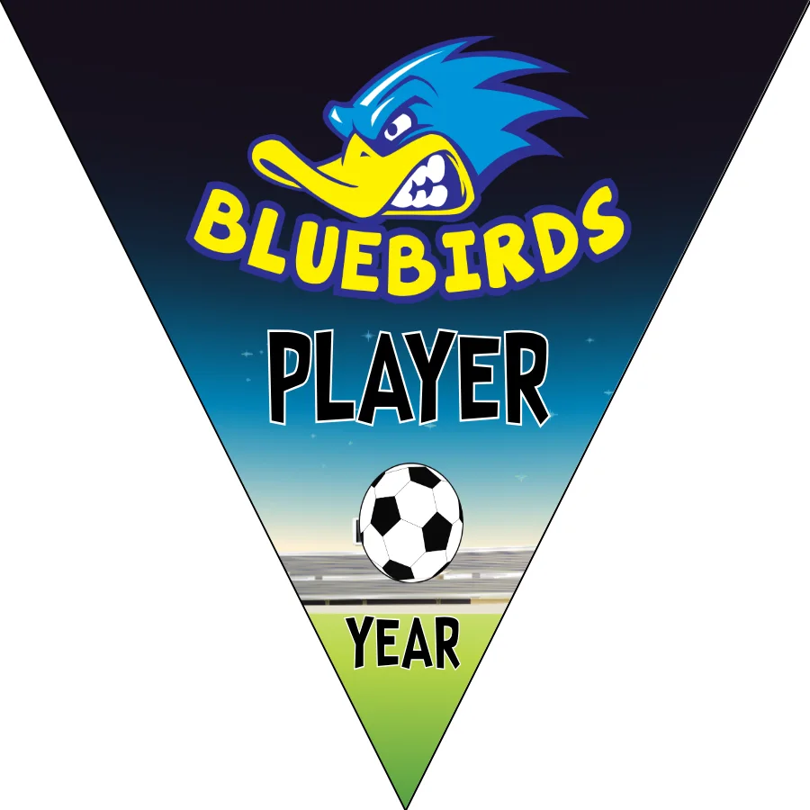 Bluebird Soccer Banner-nightmares-soccer-banner-picture