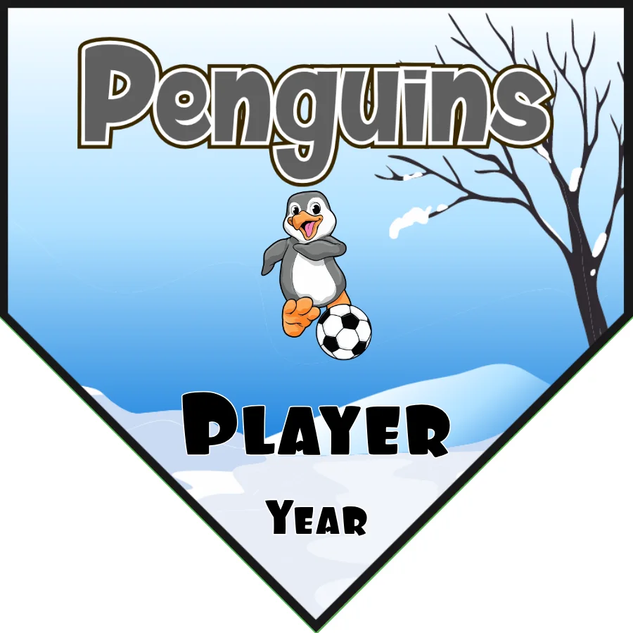 Penguins Soccer Banner-soccer-banner-kit-picture