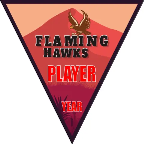 Hawks Flaming Soccer Banner-banners-for-soccer-team-picture