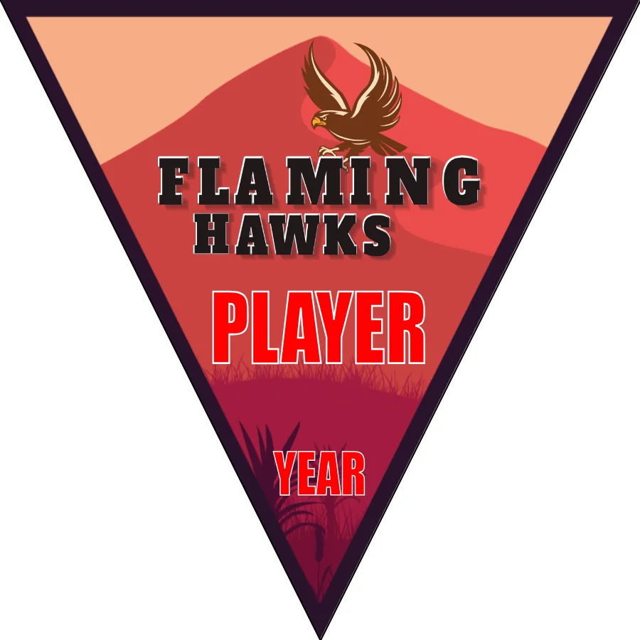 Hawks Flaming Soccer Banner-banners-for-soccer-team-picture