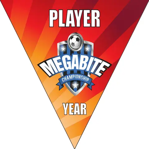 Megabite Soccer Banner-soccer-team-banners-picture