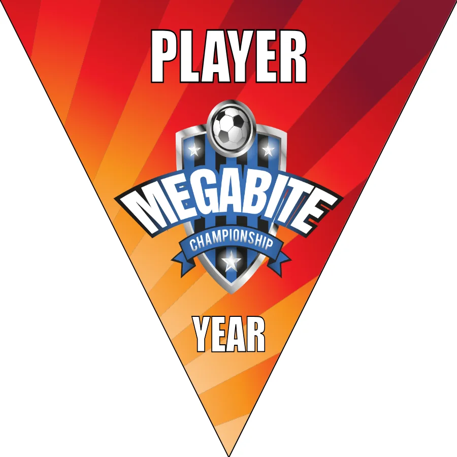 Megabite Soccer Banner-soccer-team-banners-picture