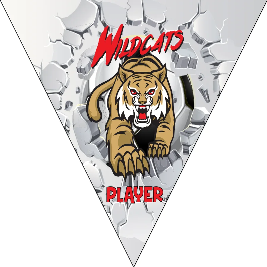 Wildcats 2 Soccer Banner,-soccer-party-banner-picture
