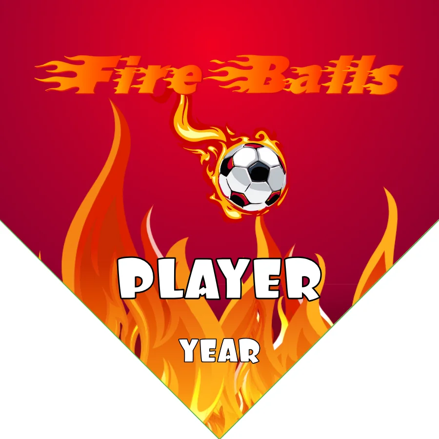 Fire Balls Soccer Banner-soccer-banner-picture