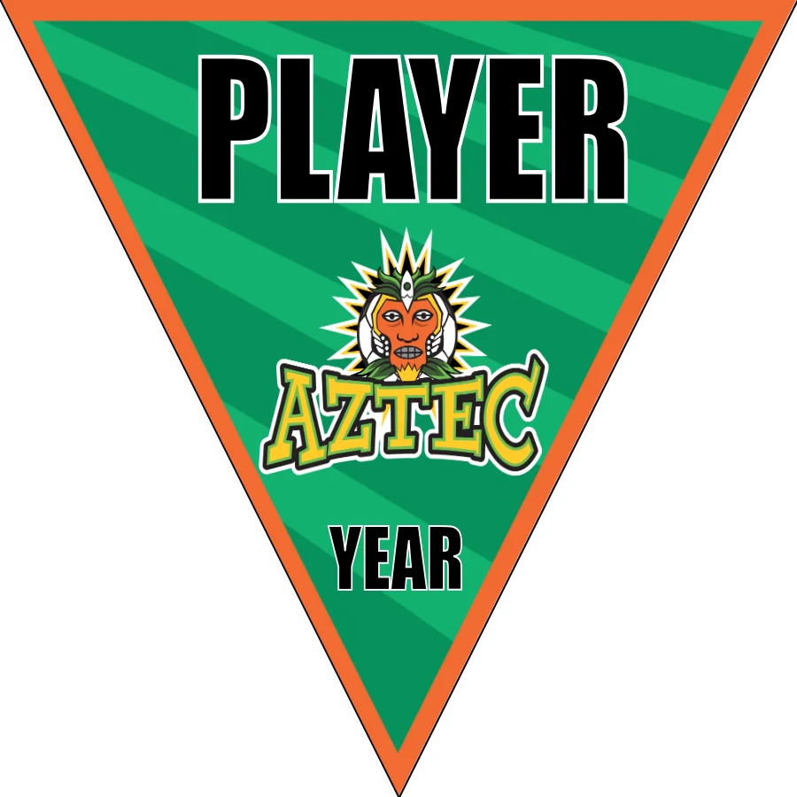 Aztec 2 Soccer Banner-ayso-soccer-banner-size-picture