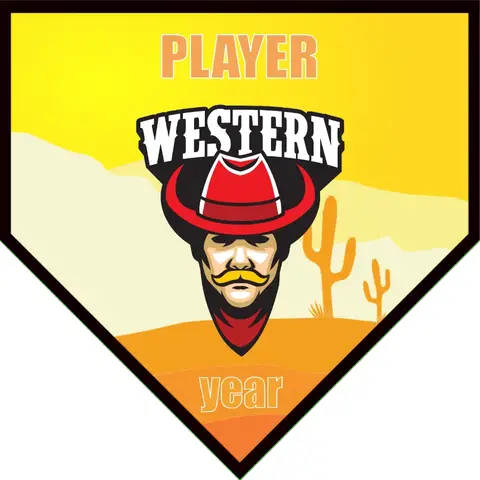 Western 01 Soccer Banner-soccer-banners-for-sale-picture