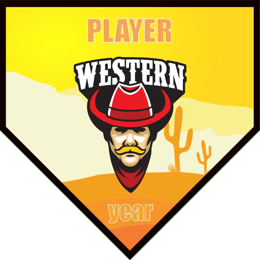 Western 01 Soccer Banner-soccer-banners-for-sale-picture
