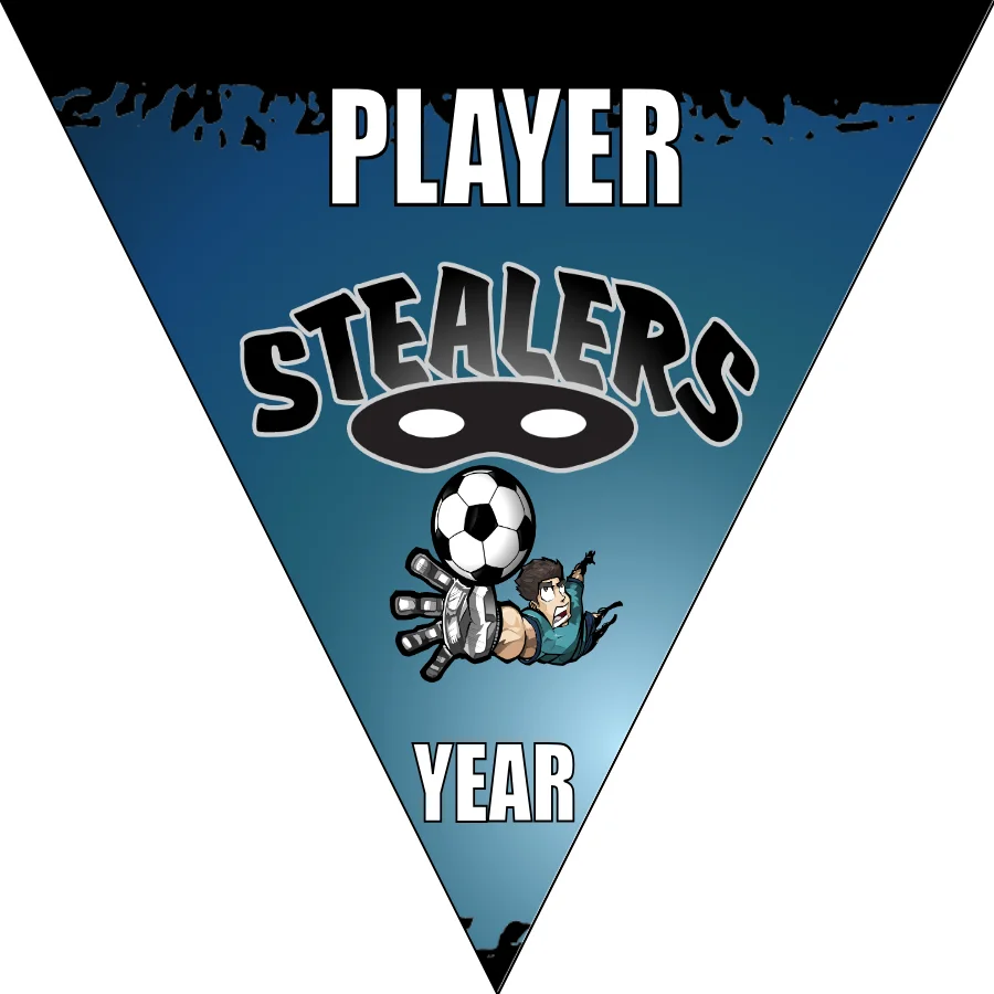 Steallers Soccer Banner-soccer-banner-picture